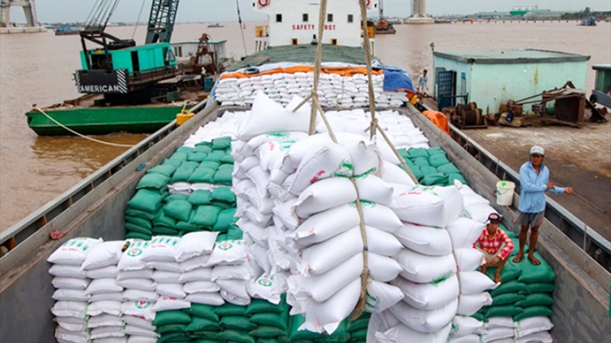 Vietnamese rice exports to Thailand enjoy surge